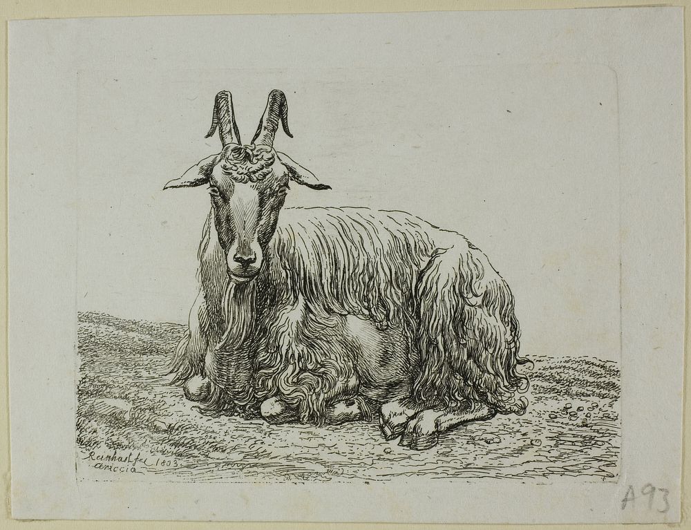 Lying Goat, from Die Zweite Thierfolge by Johann Christian Reinhart