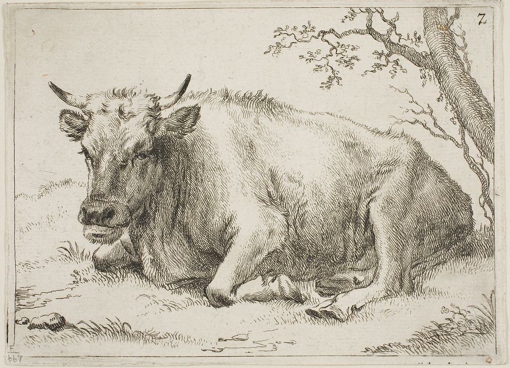 Cow Lying Down Beside a Tree by Paulus Potter