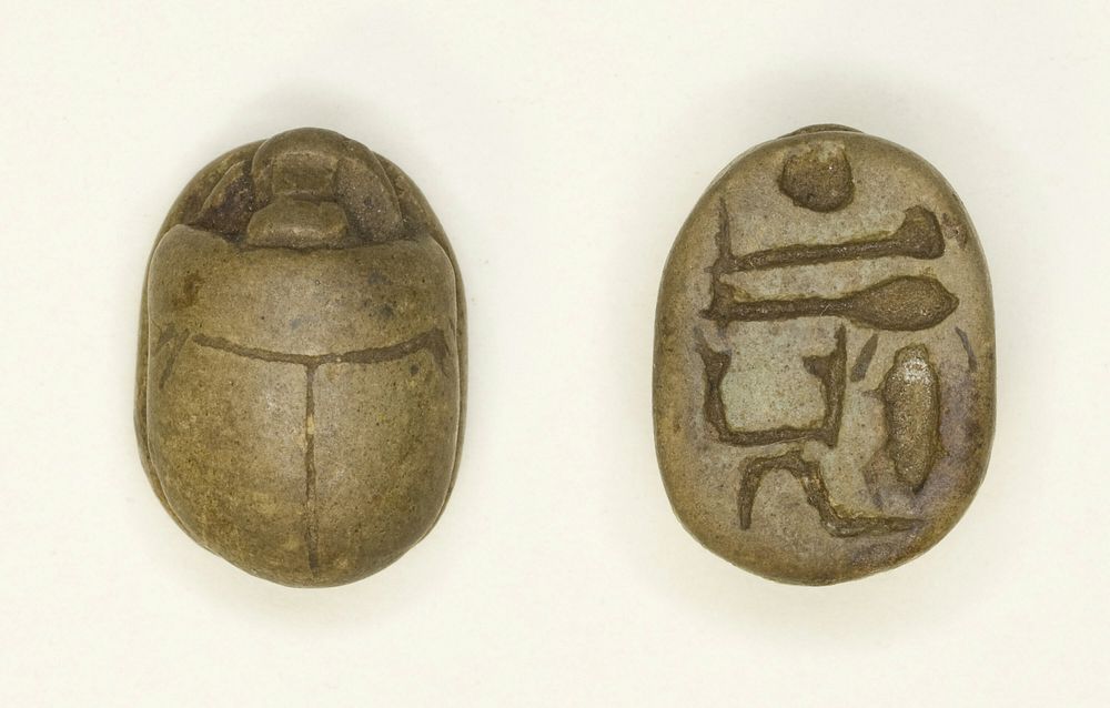 Scarab: Aakheperkara (Thutmose I) by Ancient Egyptian