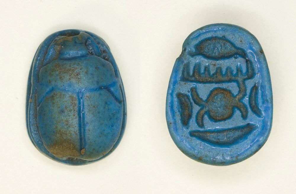 Scarab: Menkheperra (Thutmose III) by Ancient Egyptian