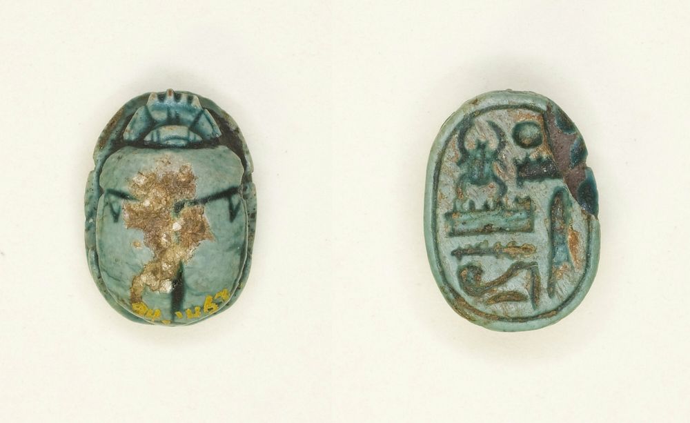 Scarab: Menkheperra (Thutmose III) by Ancient Egyptian