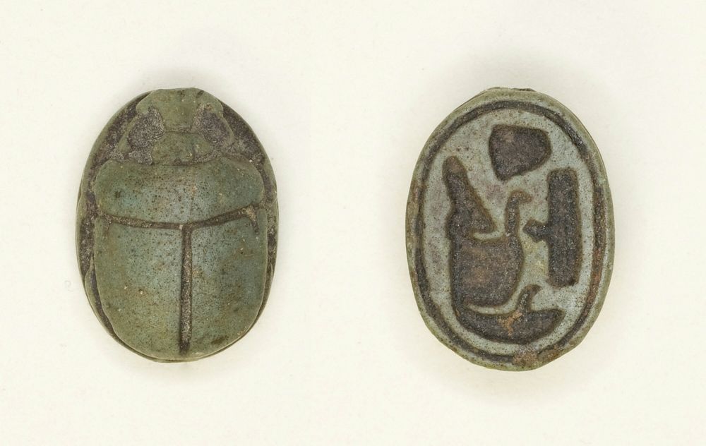 Scarab: Sobekhotep by Ancient Egyptian