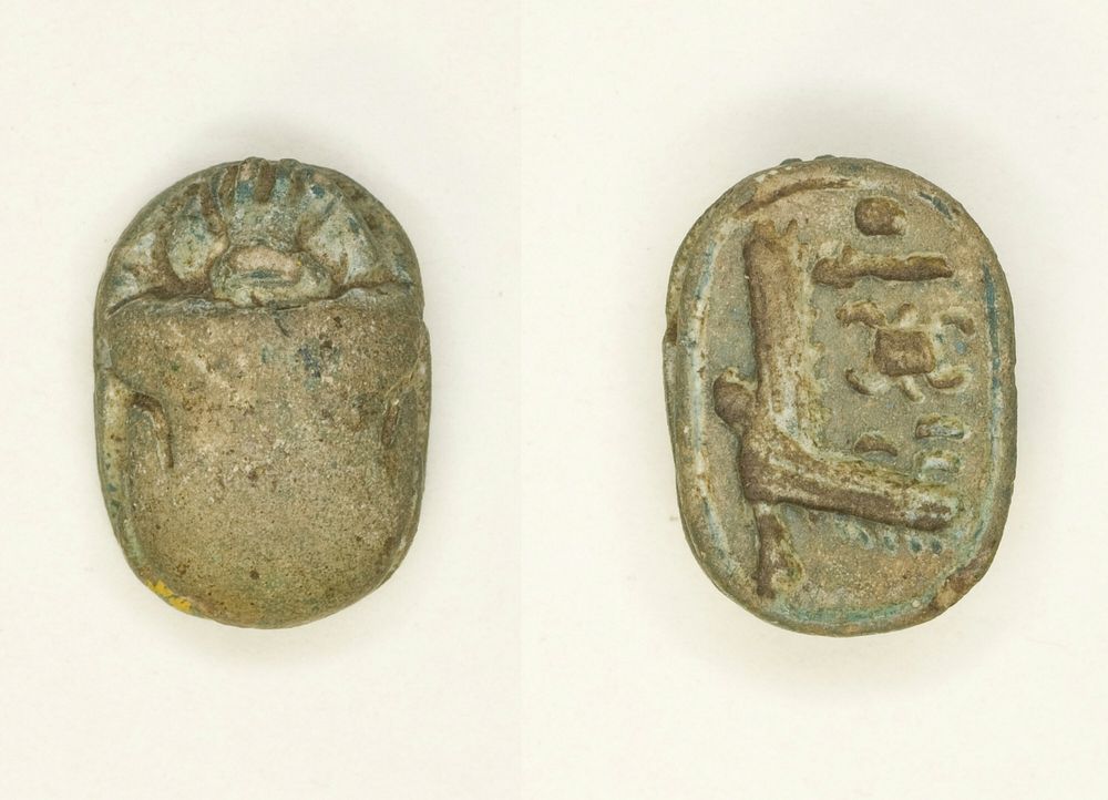 Scarab: Aakheperura (Amenhotep II) by Ancient Egyptian