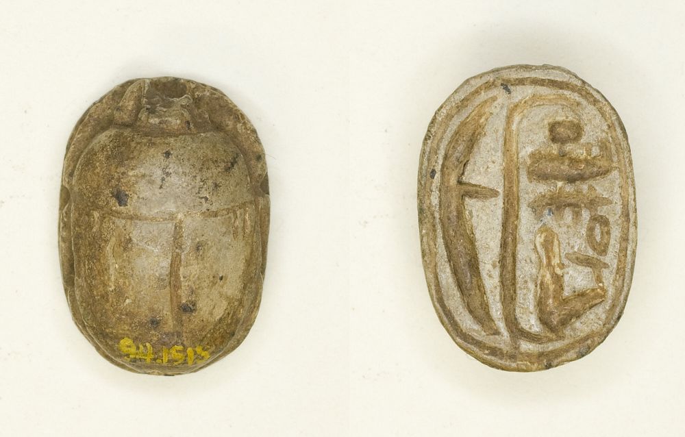 Scarab: Menmaatra (Sety I) by Ancient Egyptian