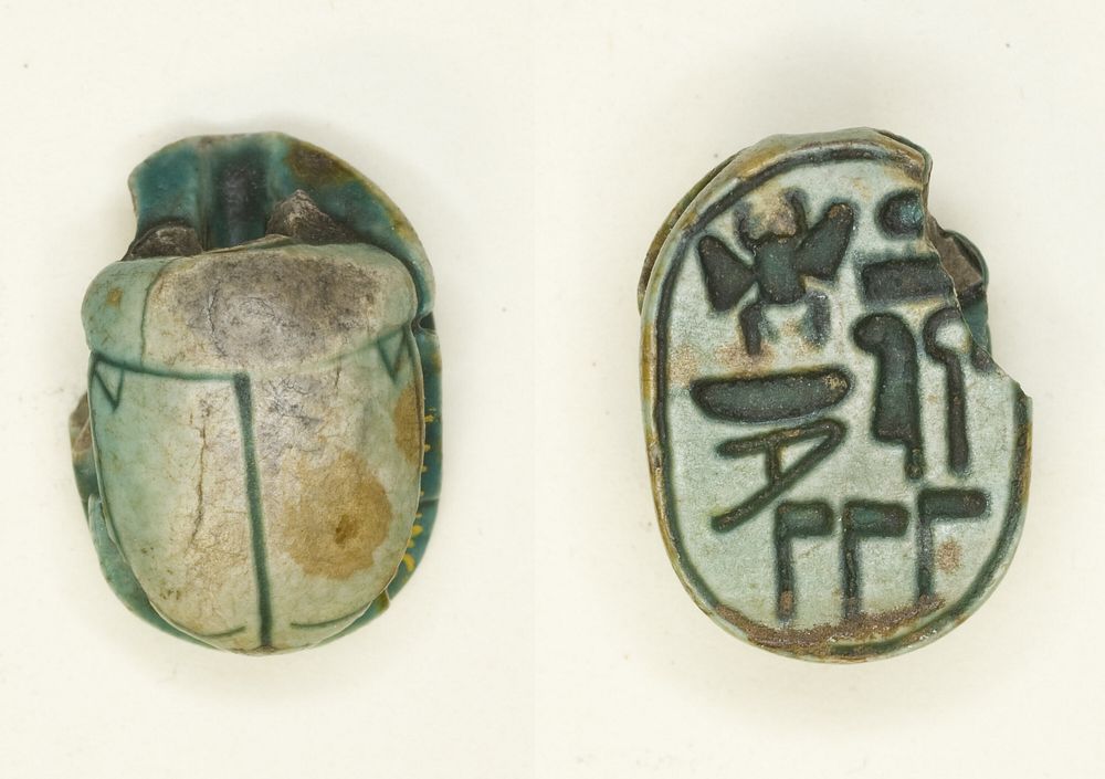 Scarab: Menkheperra (Thutmose III) by Ancient Egyptian