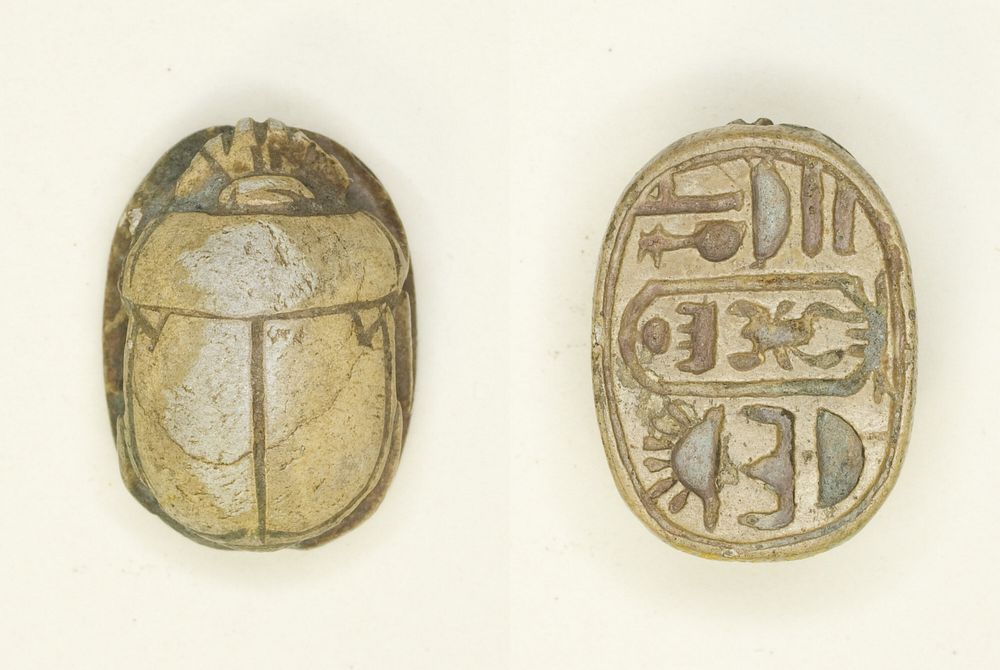 Scarab: Menkheperura (Thutmose IV) by Ancient Egyptian