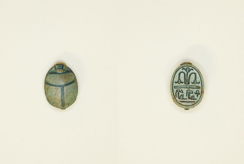 Scarab: Floral Motif by Ancient Egyptian