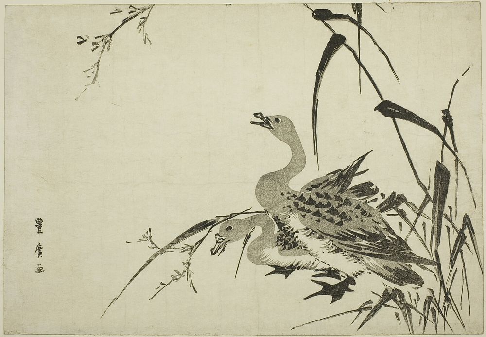 Wild Geese and Reeds by Utagawa Toyohiro