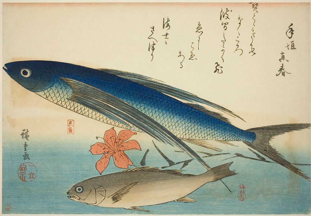 Flying fish and Ichimochi, from an untitled series of fish by Utagawa Hiroshige