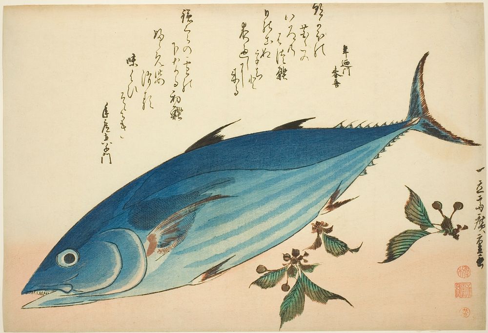 Bonito and saxifrage, from an untitled series of fish by Utagawa Hiroshige