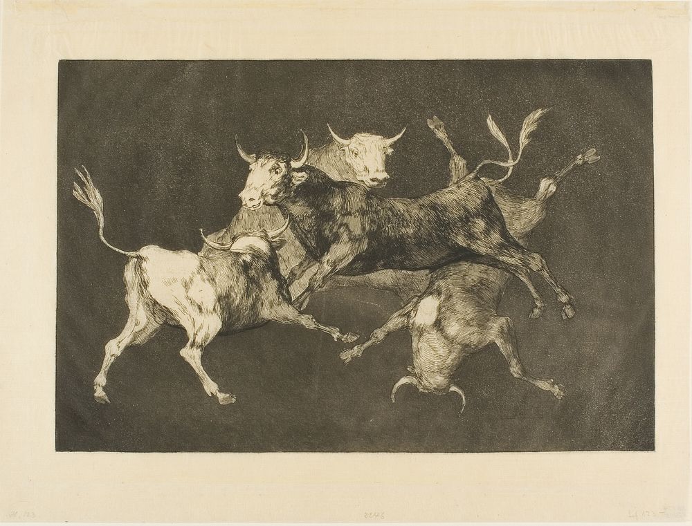Fool’s Folly, from Disparates by Francisco José de Goya y Lucientes