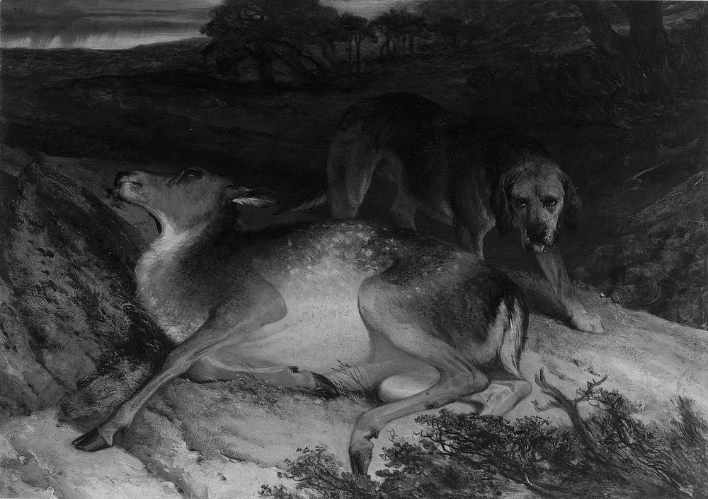Wounded Stag and Dog by Edwin Henry Landseer