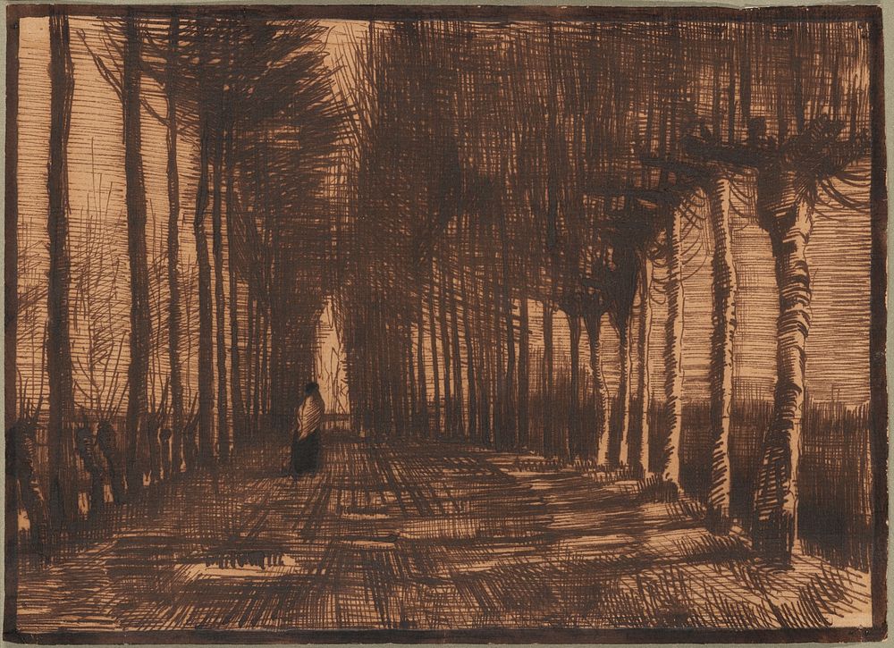 Avenue of Pollard Birches and Poplars by Vincent van Gogh