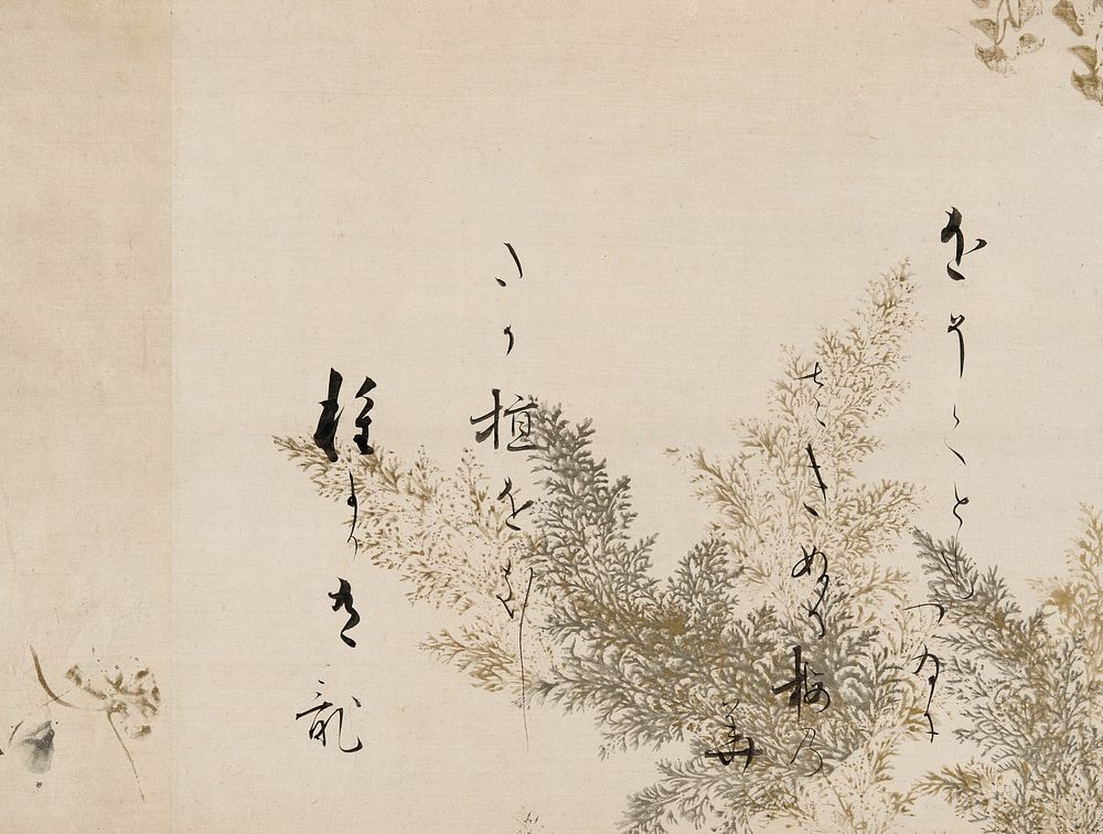 A Poem from the Shin Kokinshu with Design of Shinobugusa (Moss Fern) by Kôetsu