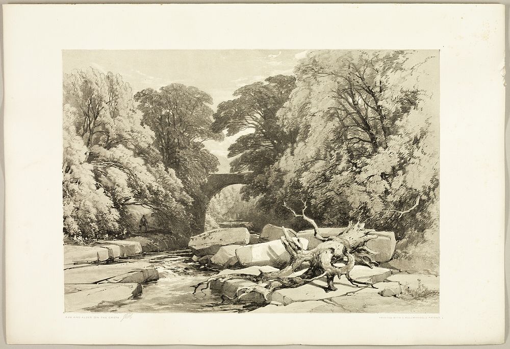 Ash and Alder on the Greta, from The Park and the Forest by James Duffield Harding