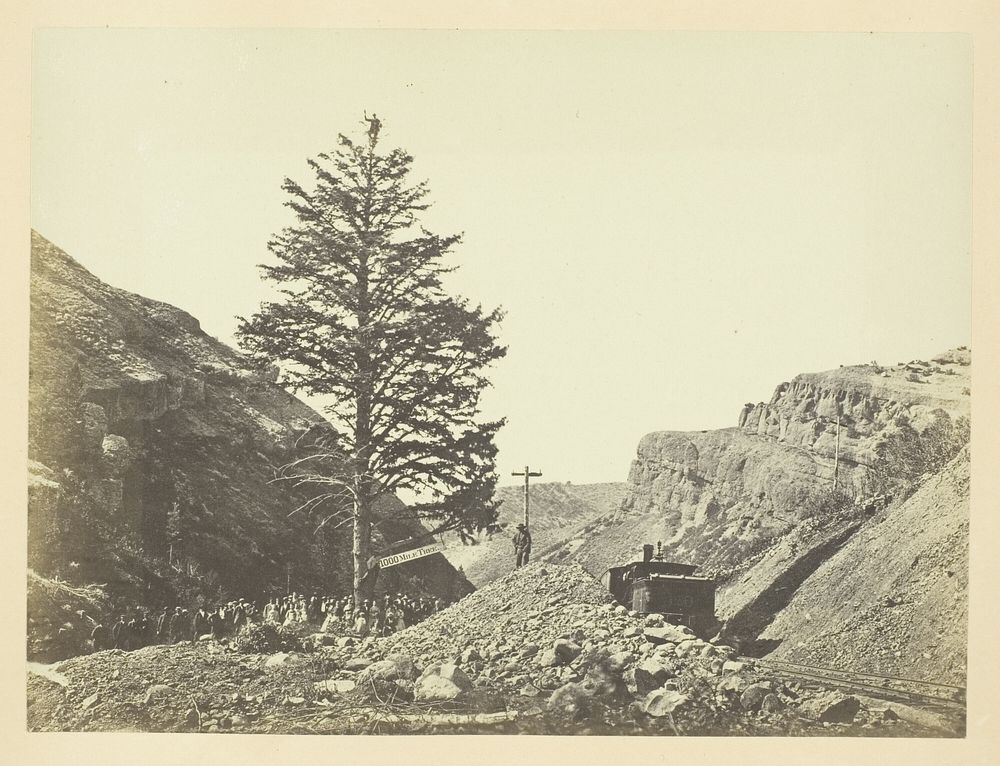 Thousand Mile Tree, Wilhelmina's Pass by Andrew Joseph Russell