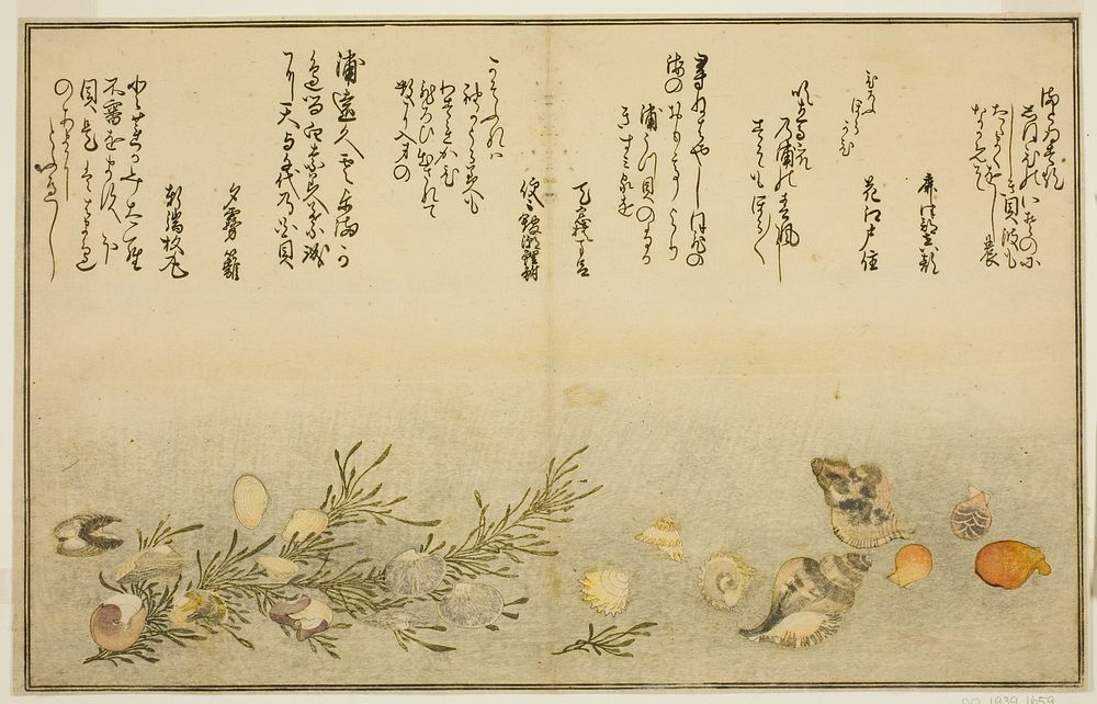 Beni-gai, hora-gai, urauzu-gai, wasure-gai, chiyonohana-gai, and masuho-gai, from the illustrated book "Gifts from the Ebb…