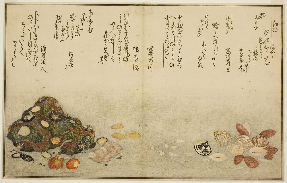 Ashi-gai, hamaguri, ko-gai, suzume-gai, akoya-gai, and katashi-gai, from the illustrated book "Gifts from the Ebb Tide…