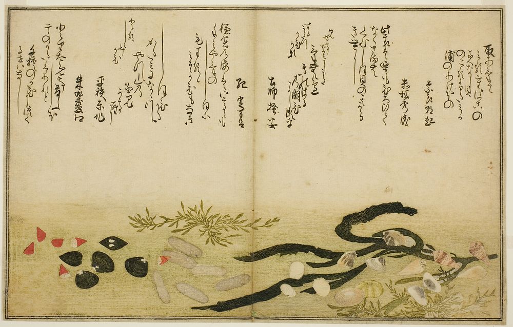 Minashi-gai, shio-gai, katatsu-gai, miso-gai, chijimi-gai, and chigusa-gai, from the illustrated book "Gifts from the Ebb…