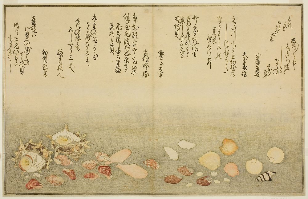 Shiro-gai, namima-gashiwa, makura-gai, iro-gai, aza-gai, sadae-gai, from the illustrated book "Gifts from the Ebb Tide…