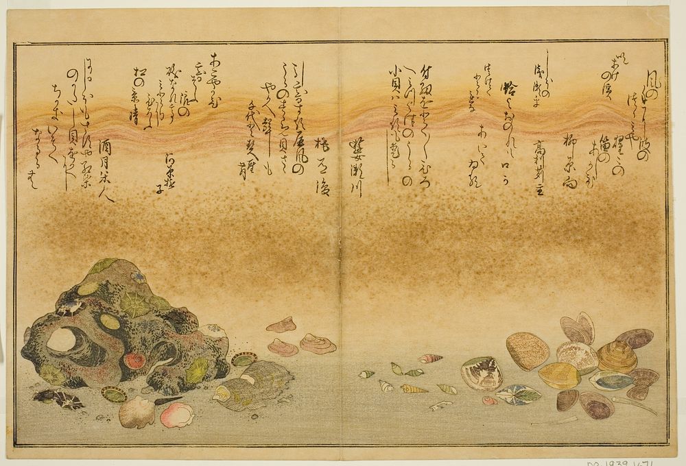 Ashi-gai, hamaguri, ko-gai, suzume-gai, akoya-gai, and katashi-gai, from the illustrated book "Gifts from the Ebb Tide…