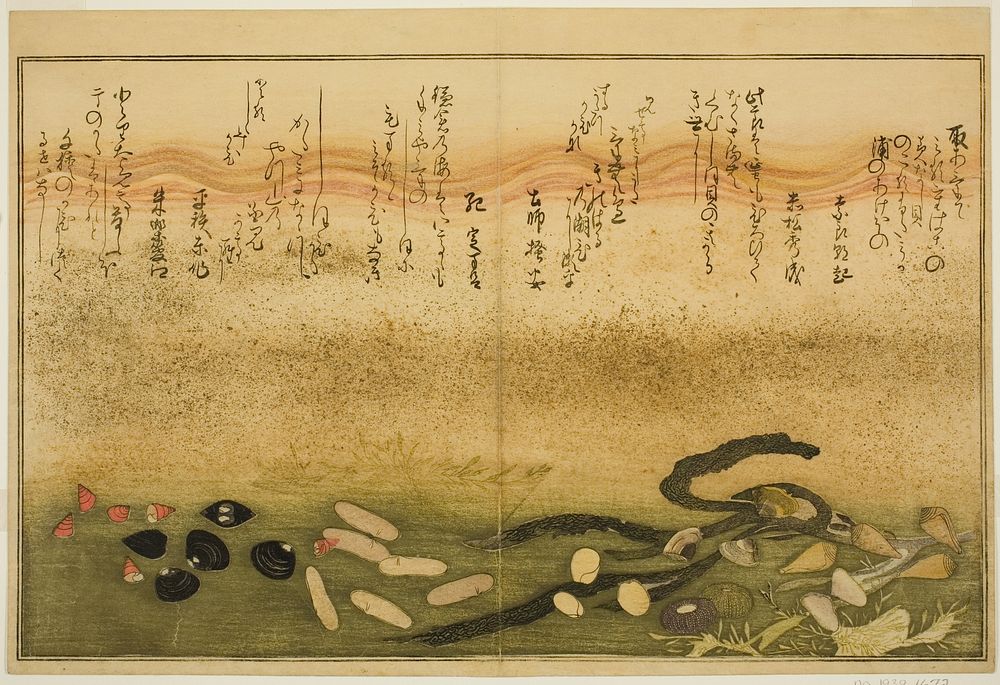 Minashi-gai, shio-gai, katatsu-gai, miso-gai, chijimi-gai, and chigusa-gai, from the illustrated book "Gifts from the Ebb…