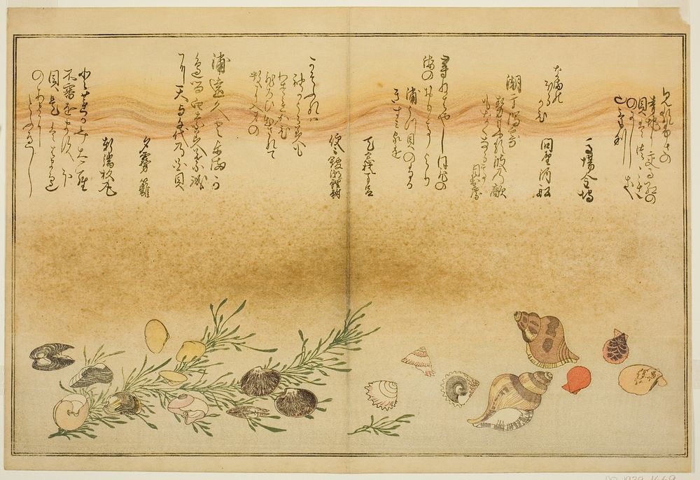 Beni-gai, hora-gai, urauzu-gai, wasure-gai, chiyonohana-gai, and masuho-gai, from the illustrated book "Gifts from the Ebb…