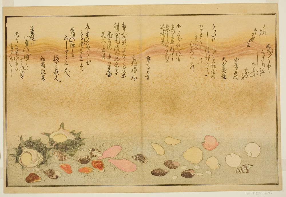 Shiro-gai, namima-gashiwa, makura-gai, iro-gai, aza-gai, sadae-gai, from the illustrated book "Gifts from the Ebb Tide…