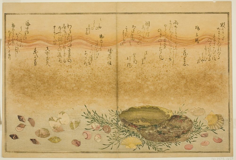 Chidori-gai, itaya-gai, awabi, utsuse-gai, asari-gai, and monoara-gai, from the illustrated book "Gifts from the Ebb Tide…