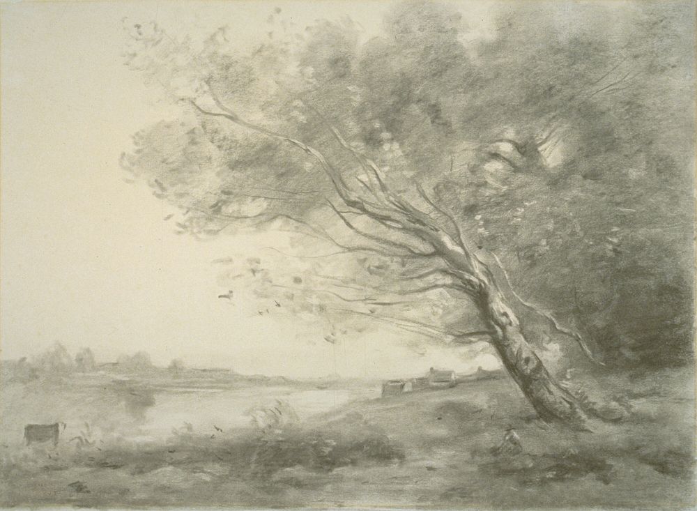 Bent Tree by the Water by Jean Baptiste Camille Corot