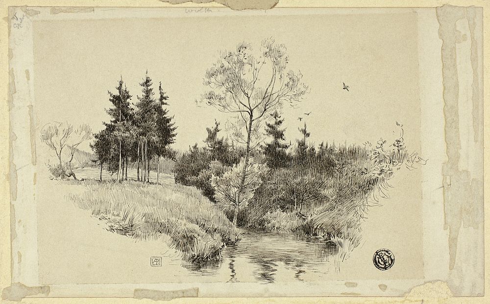 Brook in Forest by Unknown artist