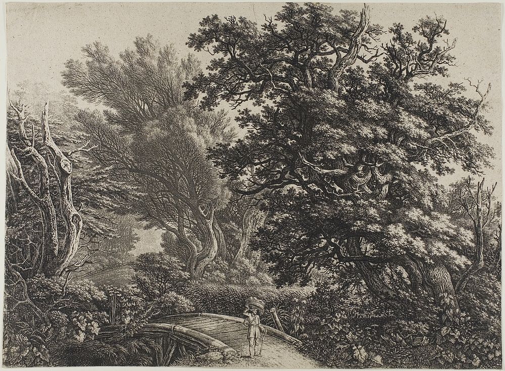 Rustic Bridge in a Tangled Wood by Carl Wilhelm Kolbe, the elder