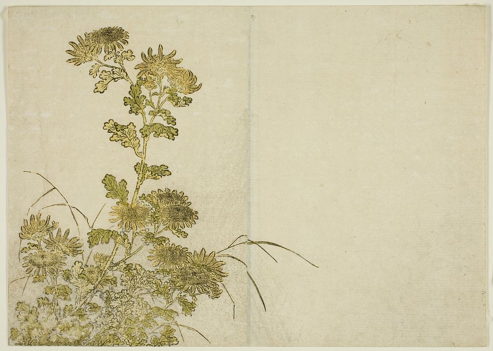Winter Flowers: Chrysanthemums, from the book "Mirror of Beautiful Women of the Pleasure Quarters (Seiro bijin awase sugata…