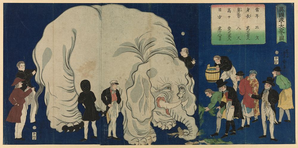 The Great Elephant from a Foreign Land (Ikoku watari dai zo no zu) by Utagawa Yoshiharu