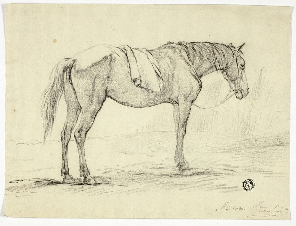 Standing Horse by Unknown artist