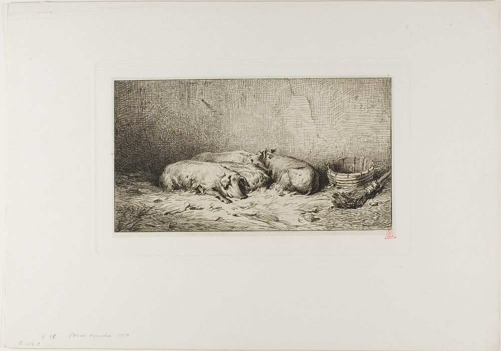 Four Sleeping Pigs by Charles Émile Jacque