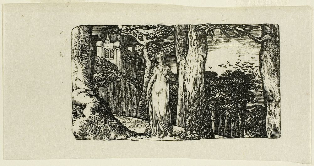 The Lady and the Rooks by Edward Calvert