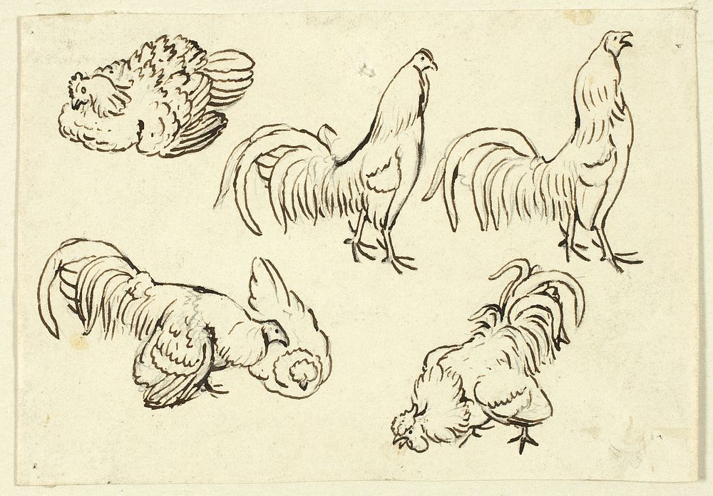 Sketches of Poultry by Henry Stacy Marks