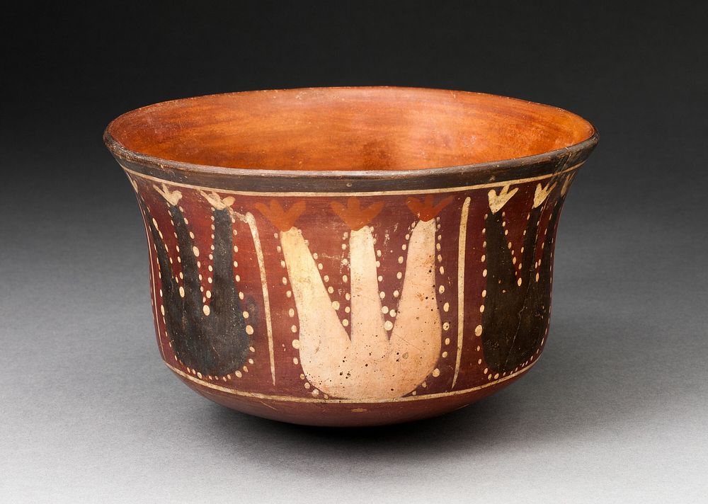 Bowl Depicting Abstract Plants, Probably Cactus by Nazca