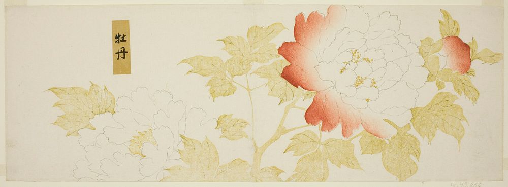 Peonies by Kitagawa Utamaro