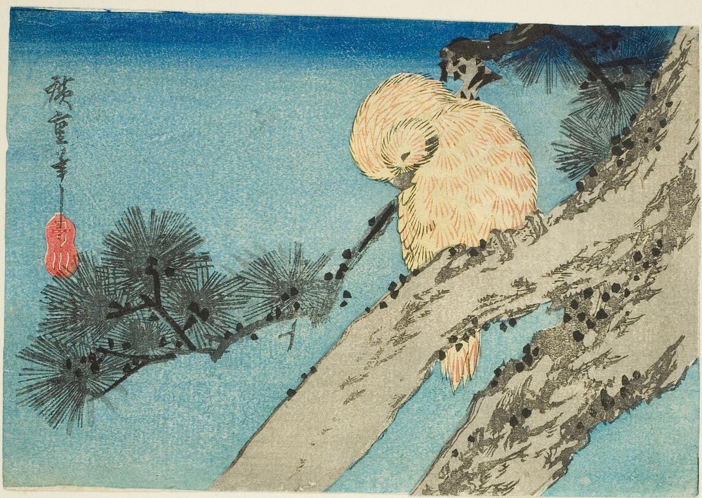 Owl on pine branch by Utagawa Hiroshige