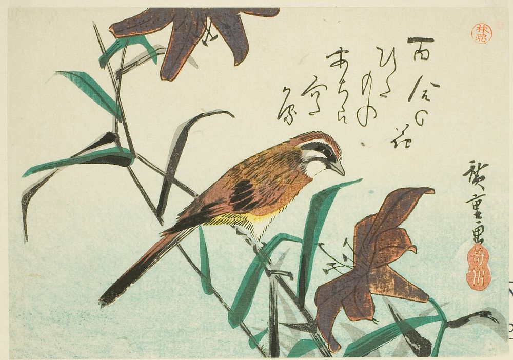 Bunting and lilies by Utagawa Hiroshige