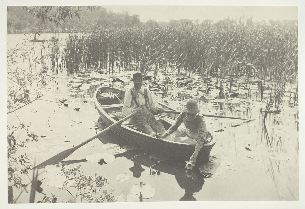 Gathering Water-Lilies by Peter Henry Emerson