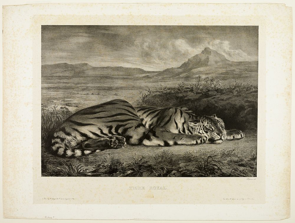Bengal Tiger by Eugène Delacroix