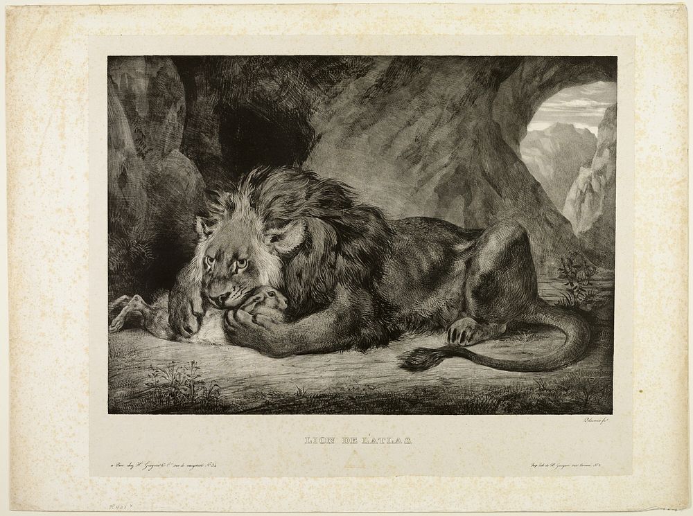 Lion of the Atlas Mountains by Eugène Delacroix