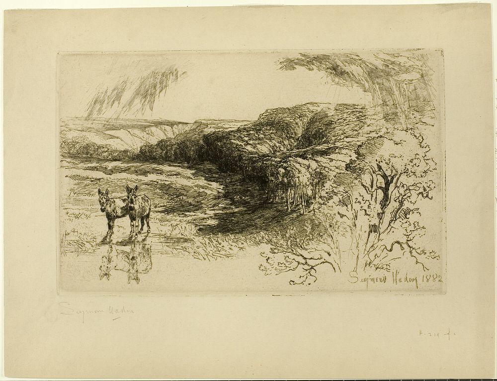 Encombe Woods, No. II by Francis Seymour Haden