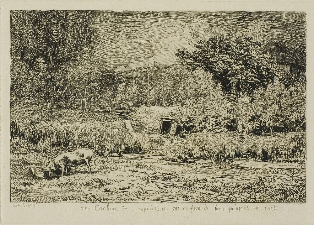 Pig in an Orchard by Charles François Daubigny