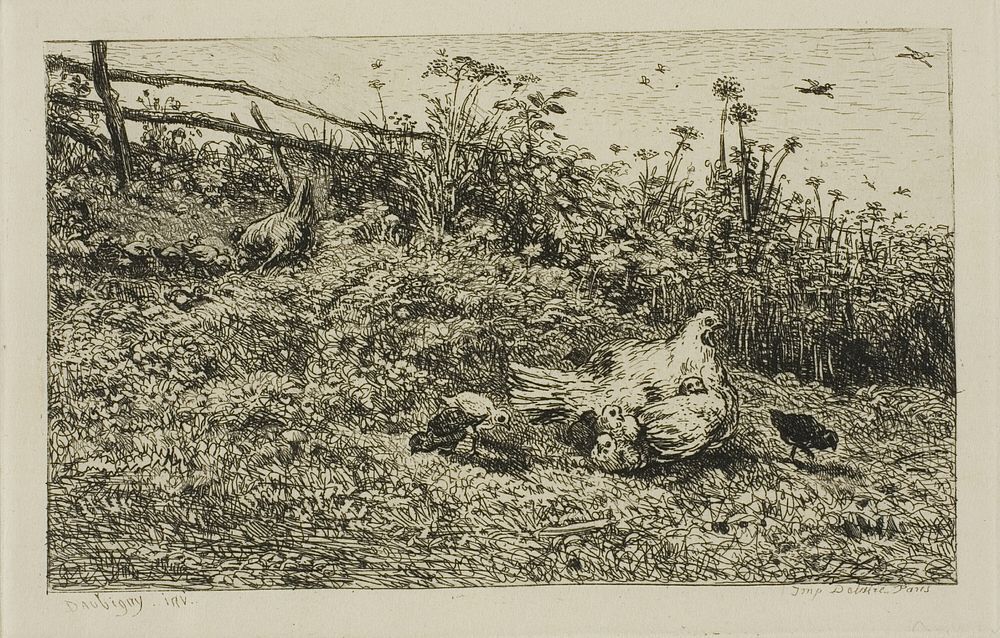 The Hen and her Chicks by Charles François Daubigny