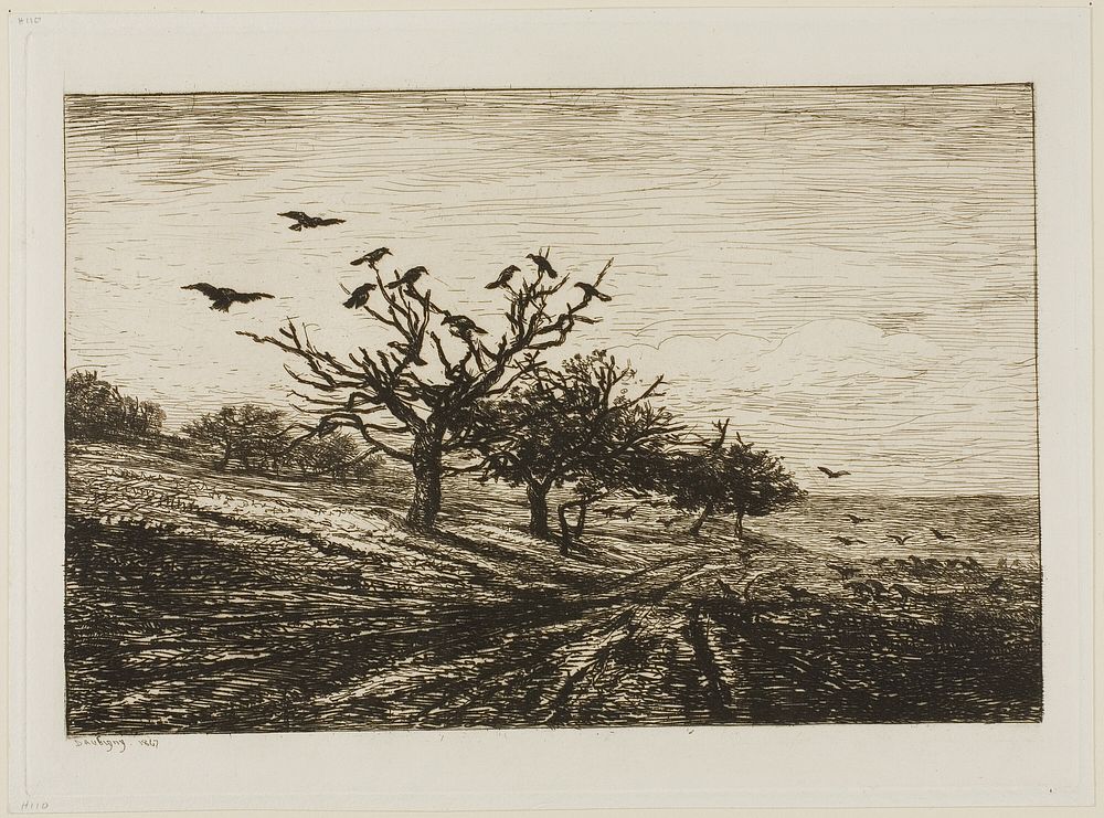 Crows in a Tree by Charles François Daubigny