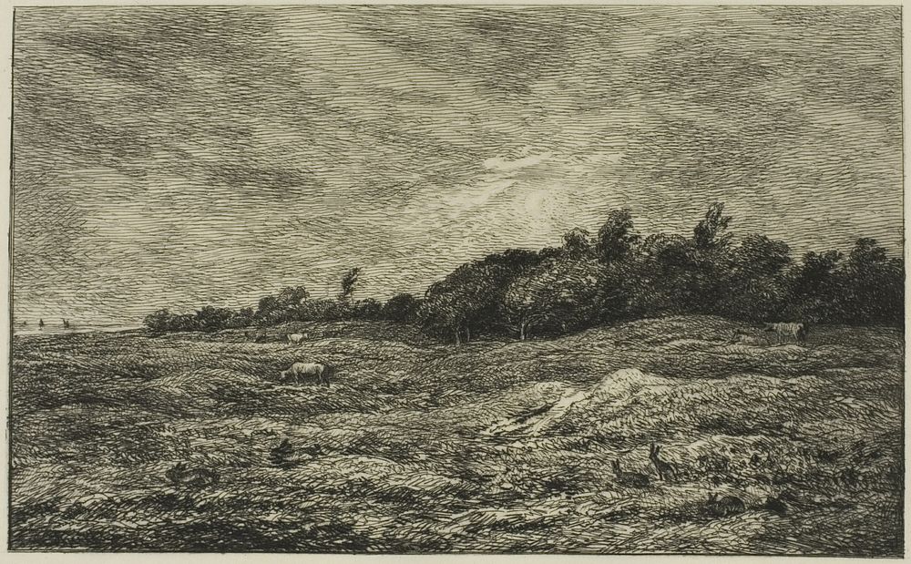 Le Pré des Graves à Villerville (Calvados) by Charles François Daubigny